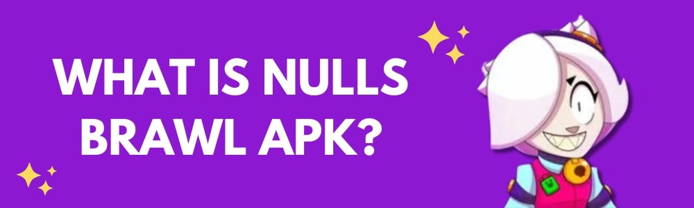 what is nulls brawl apk